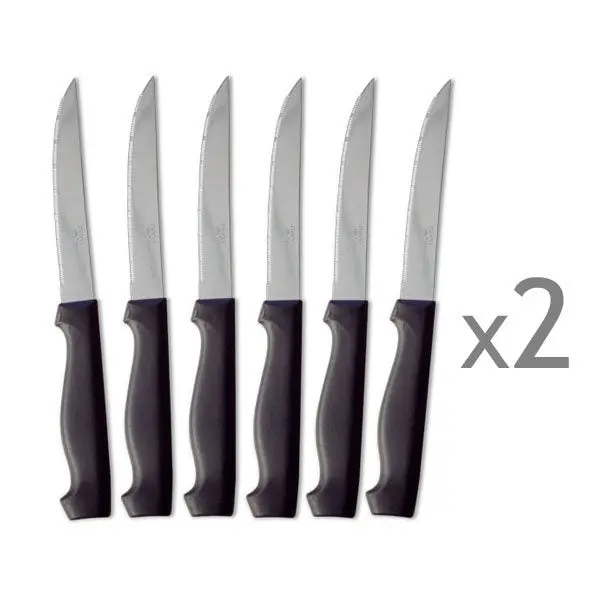 12-Steak Knife Set – Ergonomic Design By Pradel 1