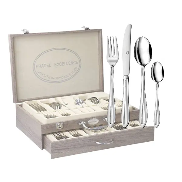 48-Piece Stainless Steel Mirror-Finish Cookware Set – Pradel Excellence 1