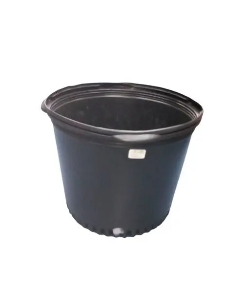 7-Gallon Glass Plant Pot 1