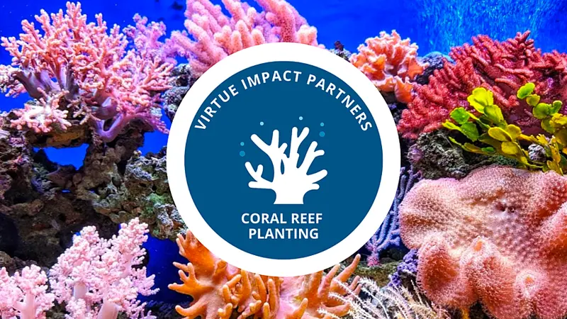 Adopt And Plant A Coral Fragment For Ocean Restoration 1