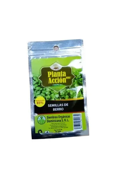 Arugula Seeds – Premium Garden Variety, 1118 1