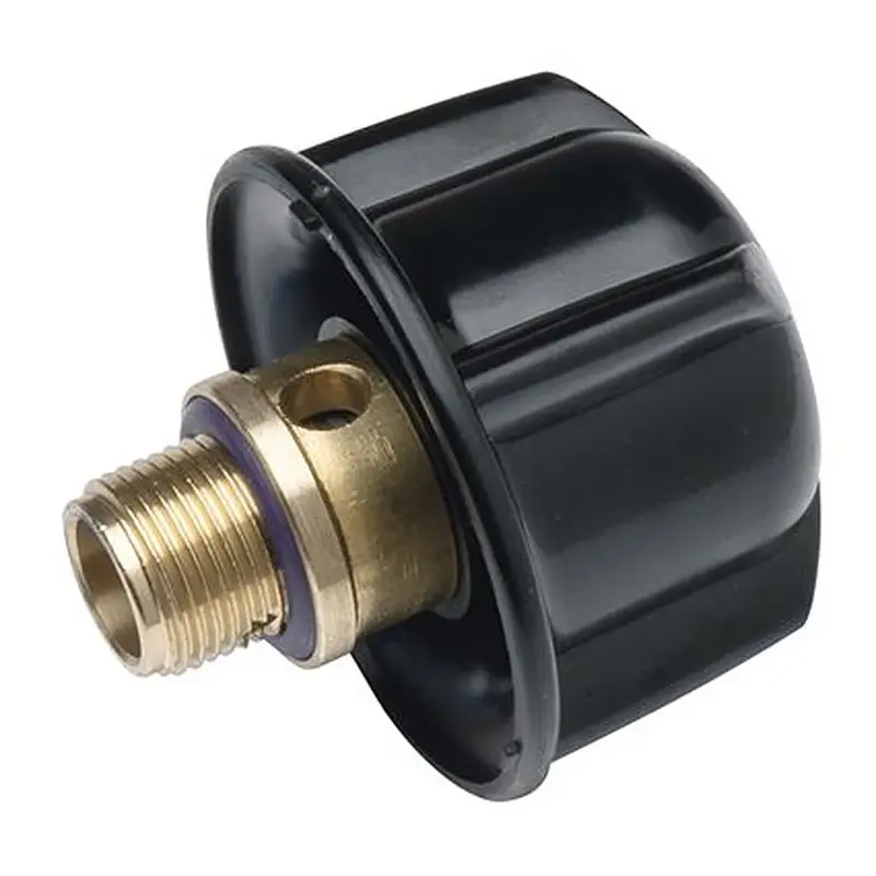 Ecosteam Manual-Fill Steam Generator Cap 1