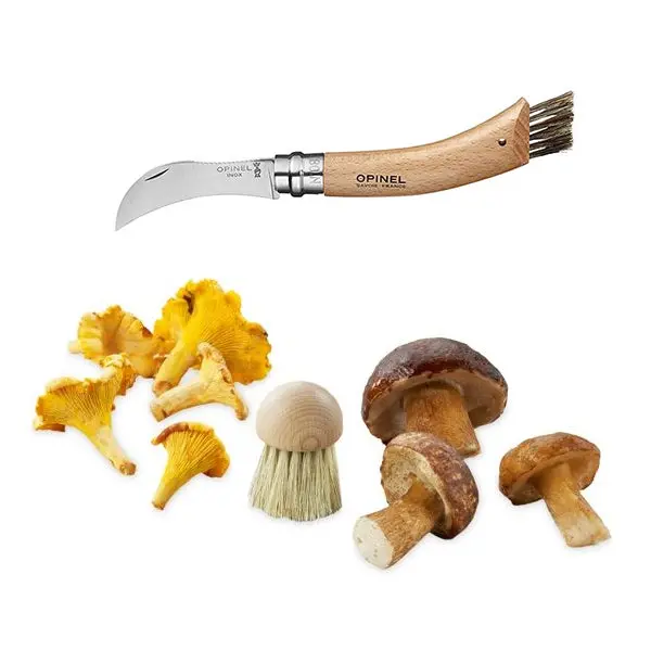 Foldable Mushroom Knife & Brush Set – Model No. 8 1